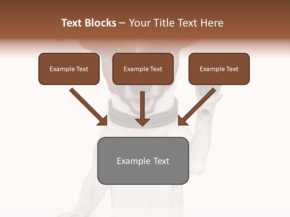 Wellness Portrait Retired PowerPoint Template