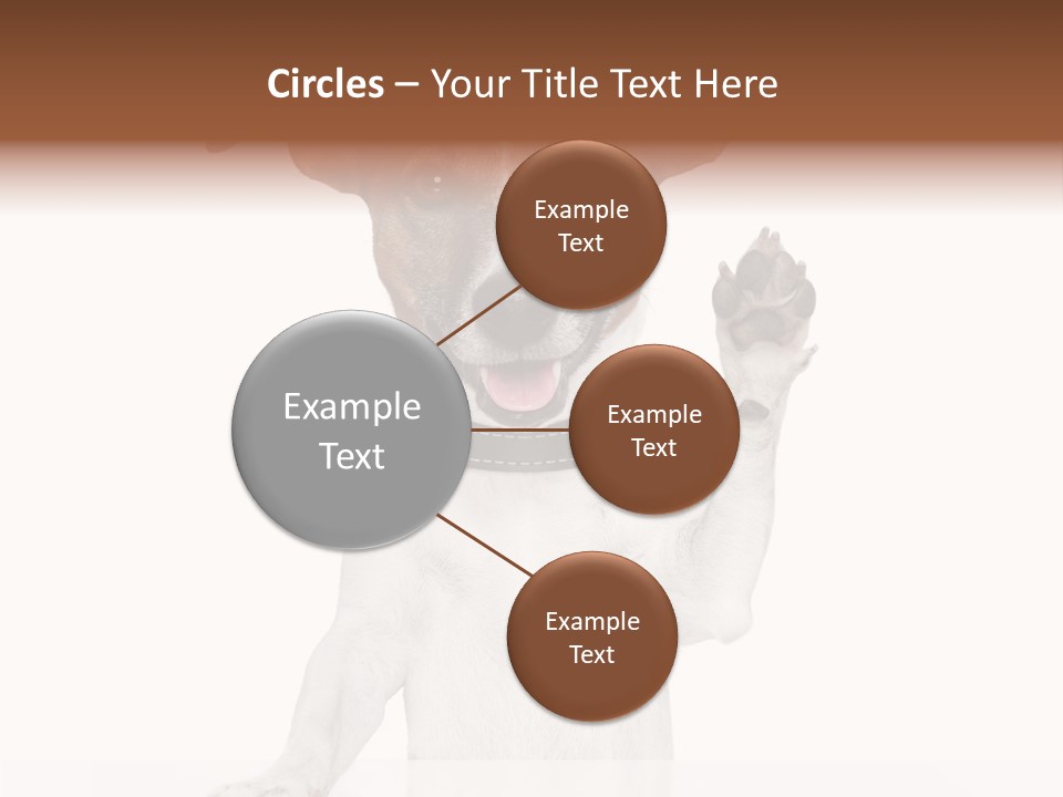 Wellness Portrait Retired PowerPoint Template