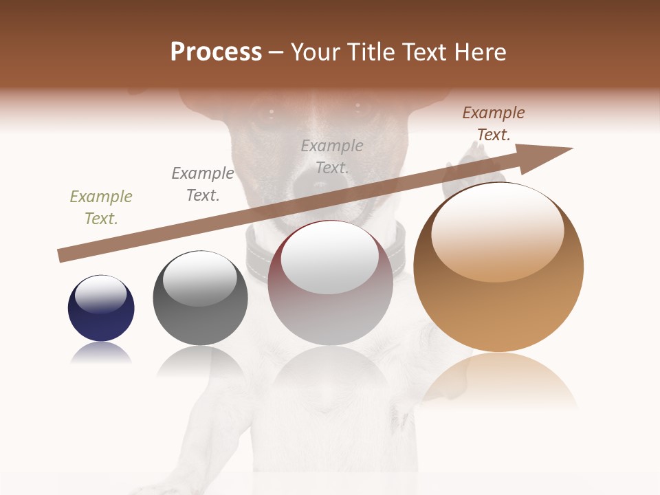 Wellness Portrait Retired PowerPoint Template