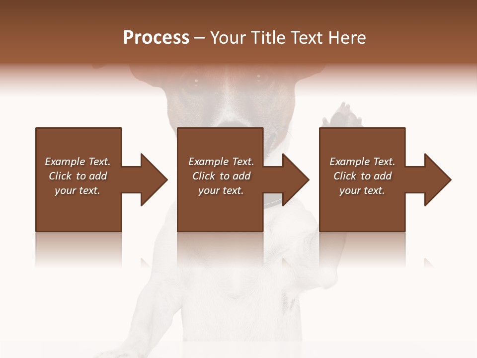 Wellness Portrait Retired PowerPoint Template