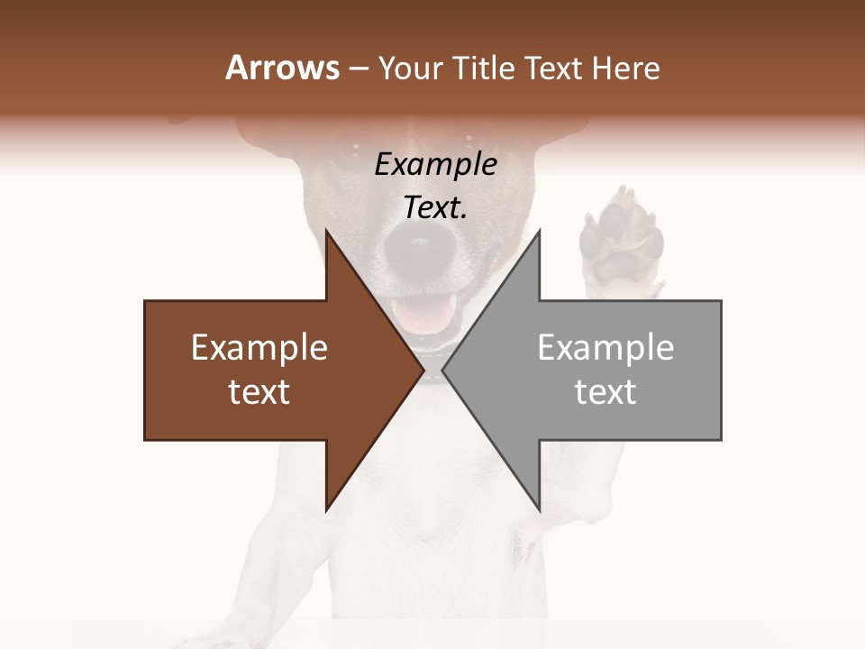 Wellness Portrait Retired PowerPoint Template