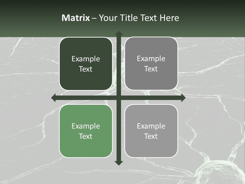 Sunrise Mother Caucasian PowerPoint Template
