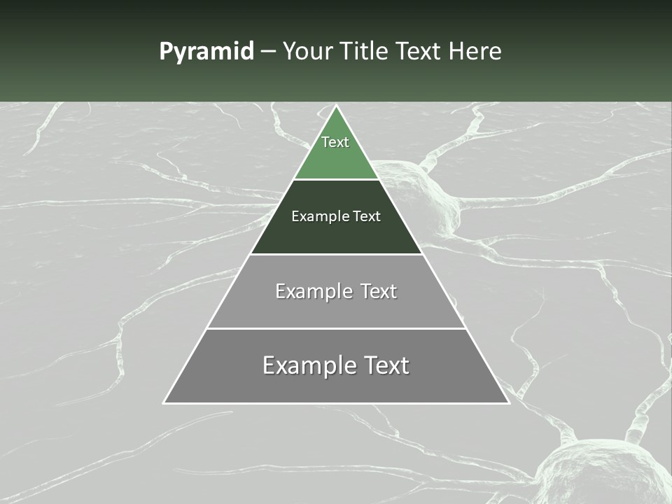 Sunrise Mother Caucasian PowerPoint Template