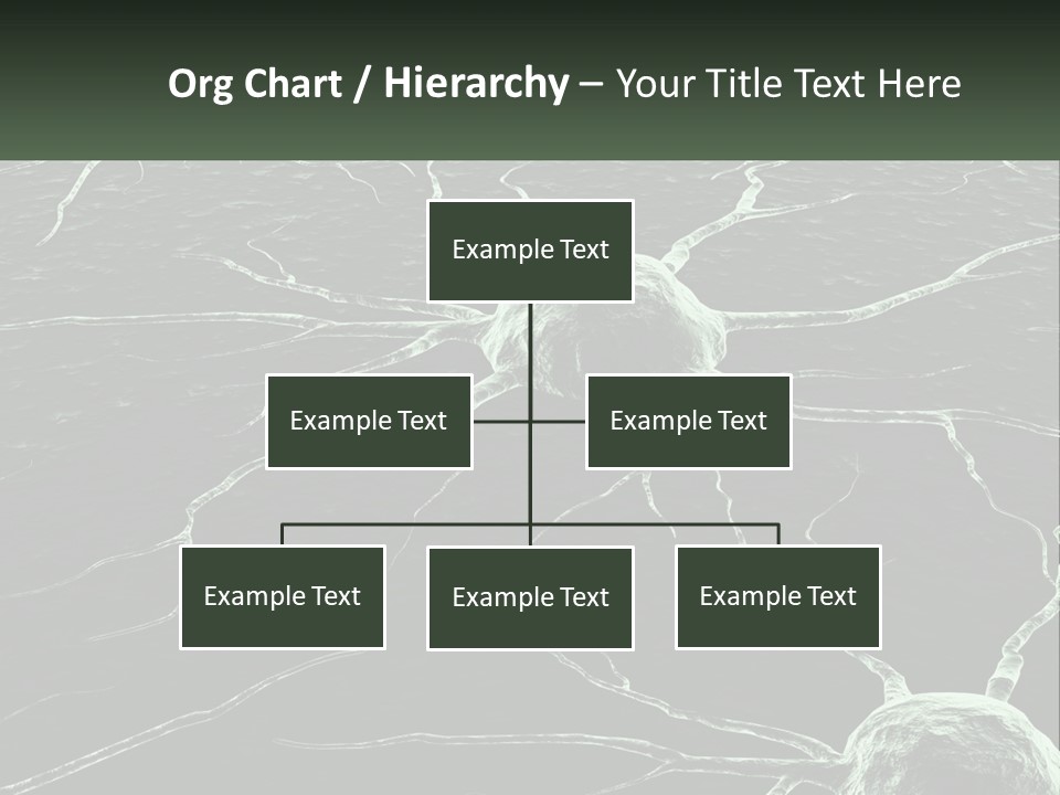 Sunrise Mother Caucasian PowerPoint Template