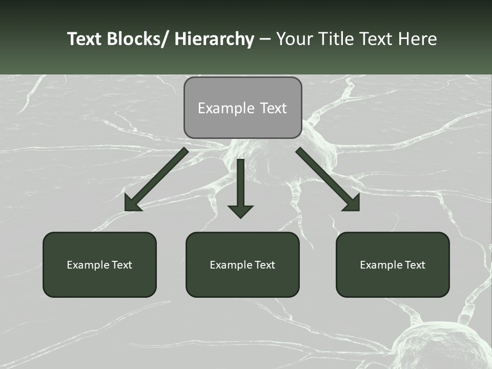 Sunrise Mother Caucasian PowerPoint Template