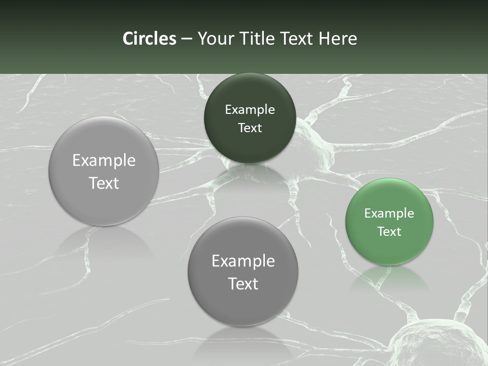 Sunrise Mother Caucasian PowerPoint Template