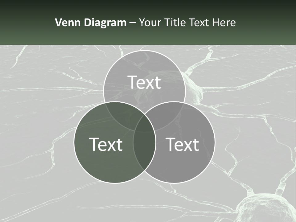 Sunrise Mother Caucasian PowerPoint Template