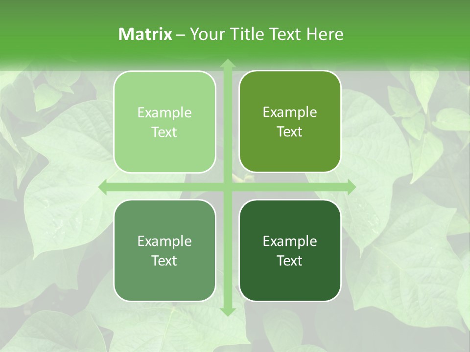 Coast Sad Life PowerPoint Template