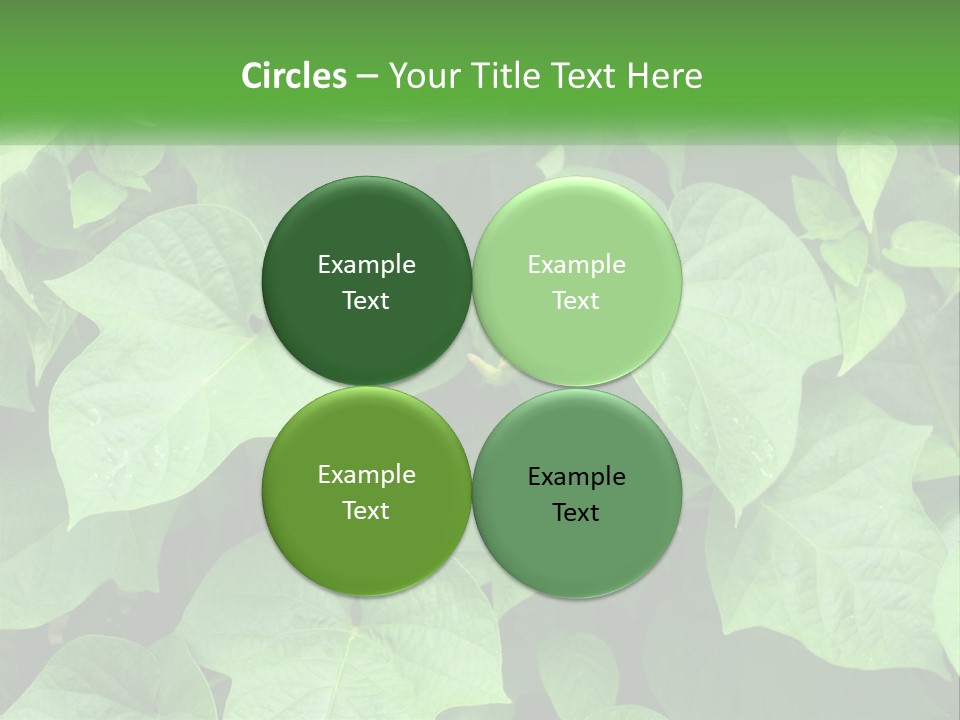 Coast Sad Life PowerPoint Template