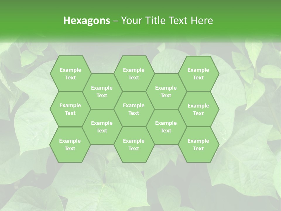 Coast Sad Life PowerPoint Template