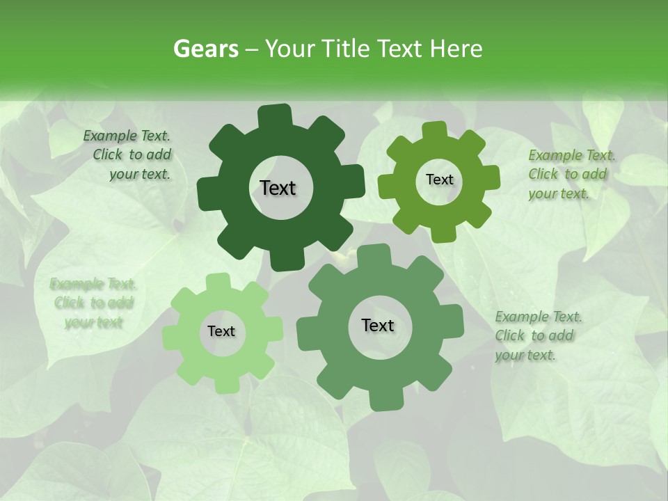 Coast Sad Life PowerPoint Template