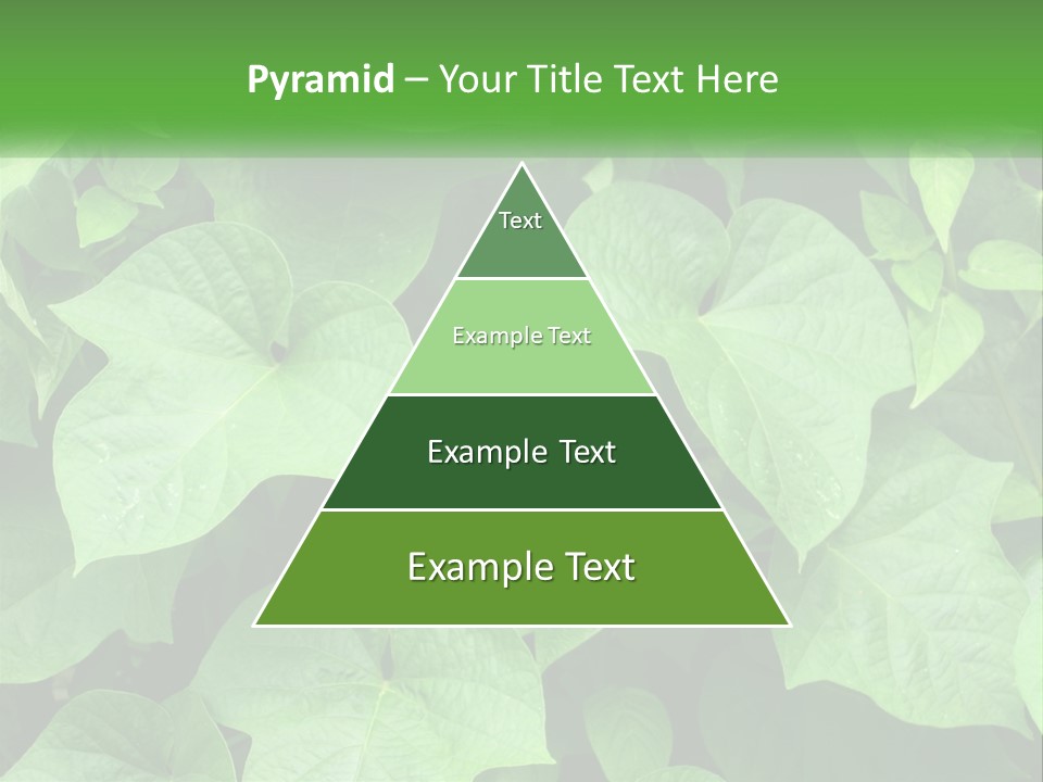 Coast Sad Life PowerPoint Template