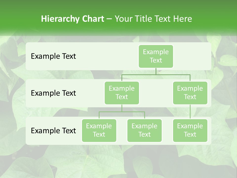 Coast Sad Life PowerPoint Template