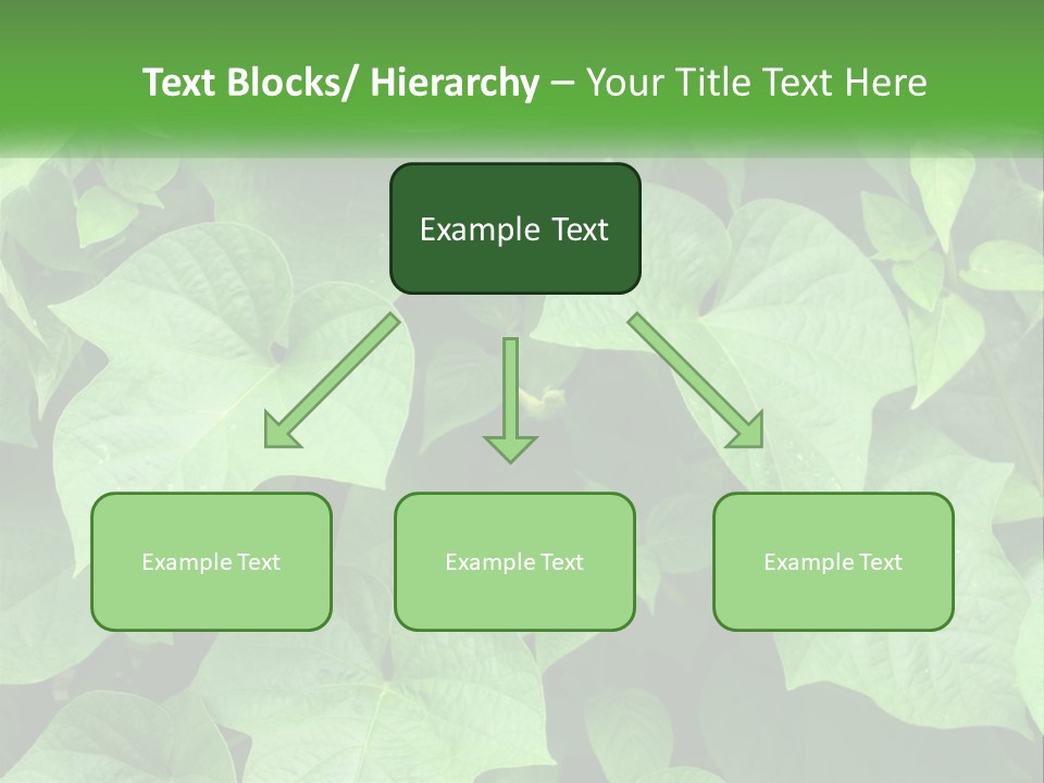 Coast Sad Life PowerPoint Template