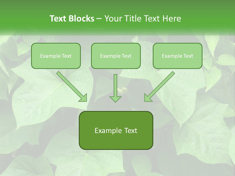 Coast Sad Life PowerPoint Template
