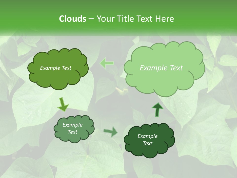 Coast Sad Life PowerPoint Template