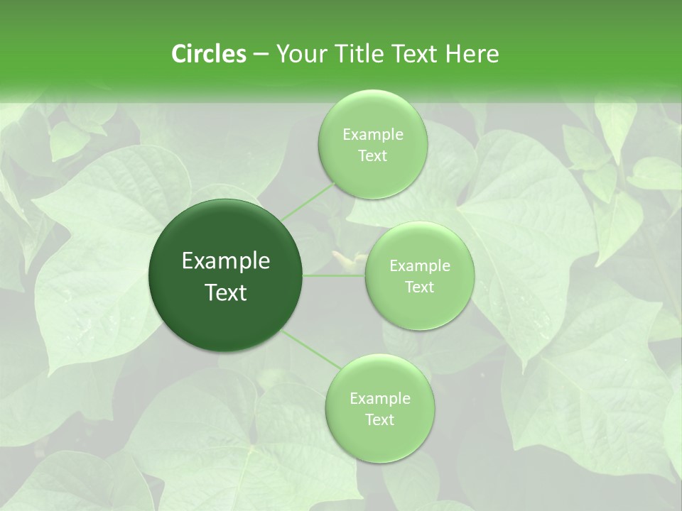 Coast Sad Life PowerPoint Template