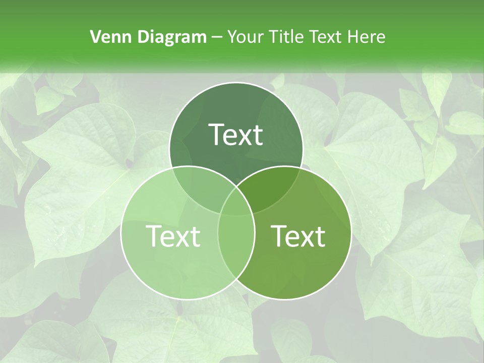 Coast Sad Life PowerPoint Template