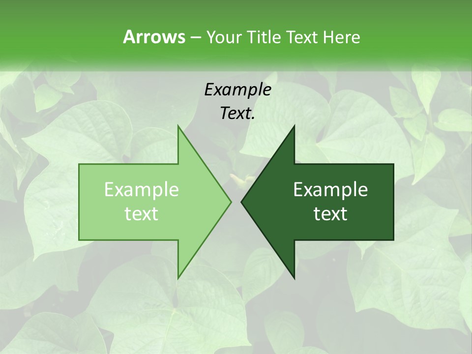 Coast Sad Life PowerPoint Template