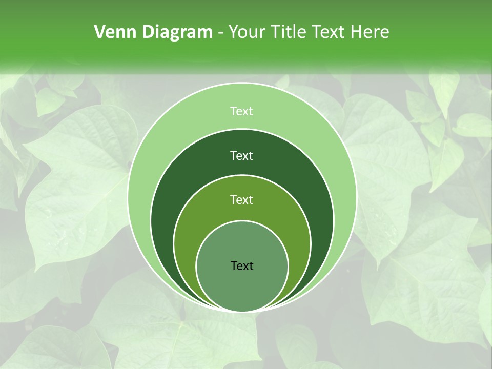 Coast Sad Life PowerPoint Template