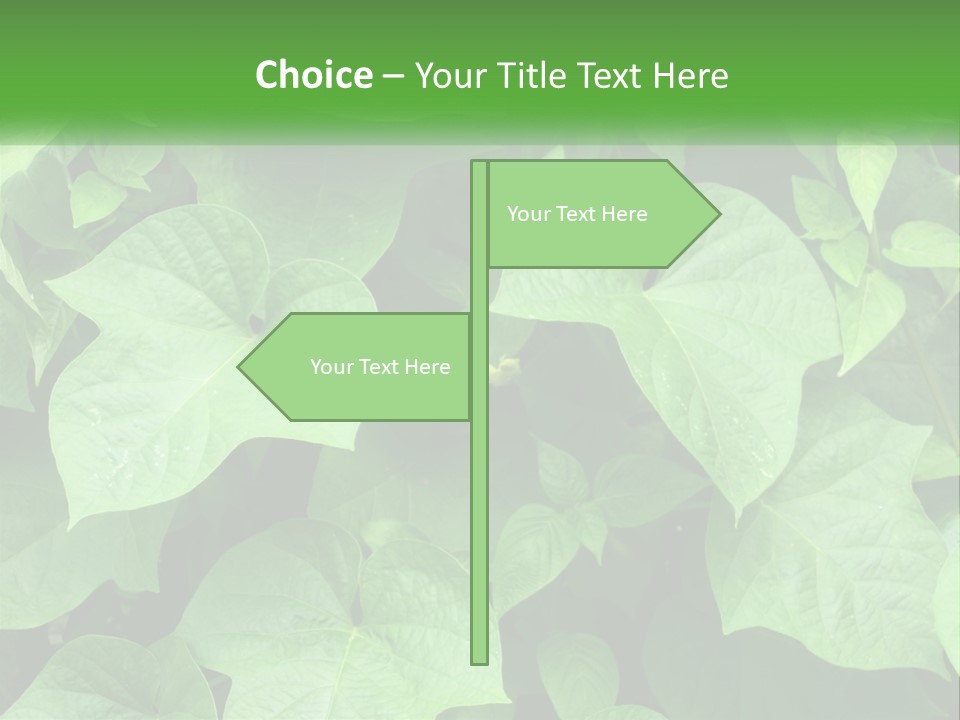 Coast Sad Life PowerPoint Template