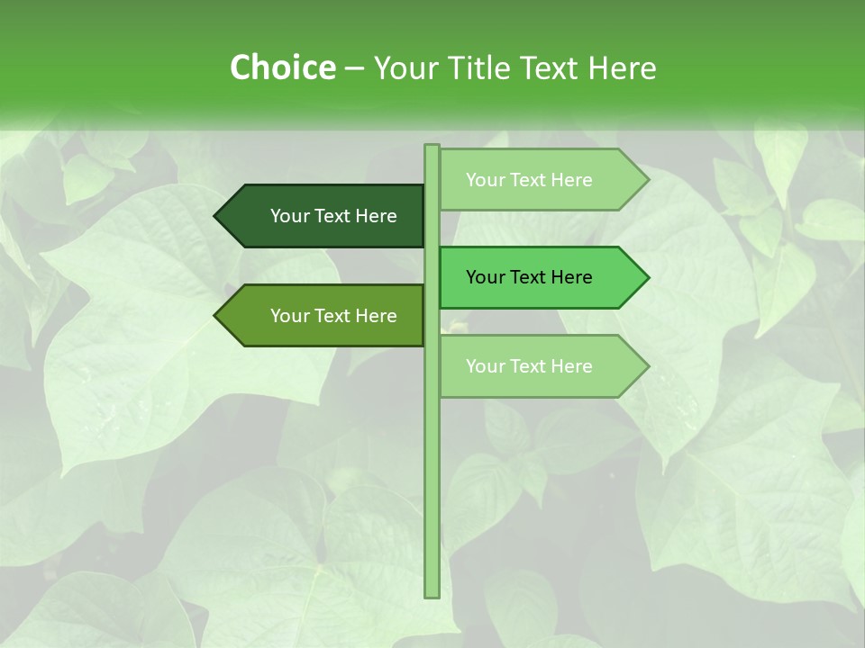 Coast Sad Life PowerPoint Template