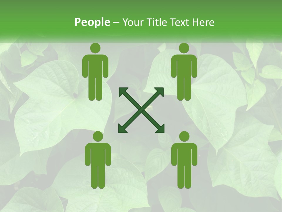 Coast Sad Life PowerPoint Template