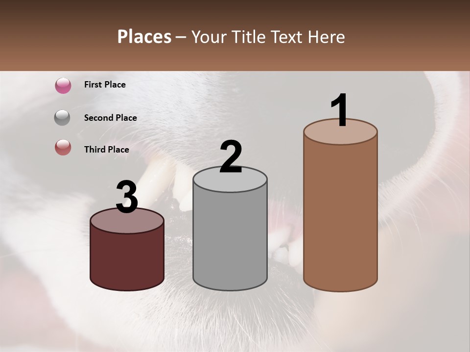 Lifestyle Portrait Pensioner PowerPoint Template