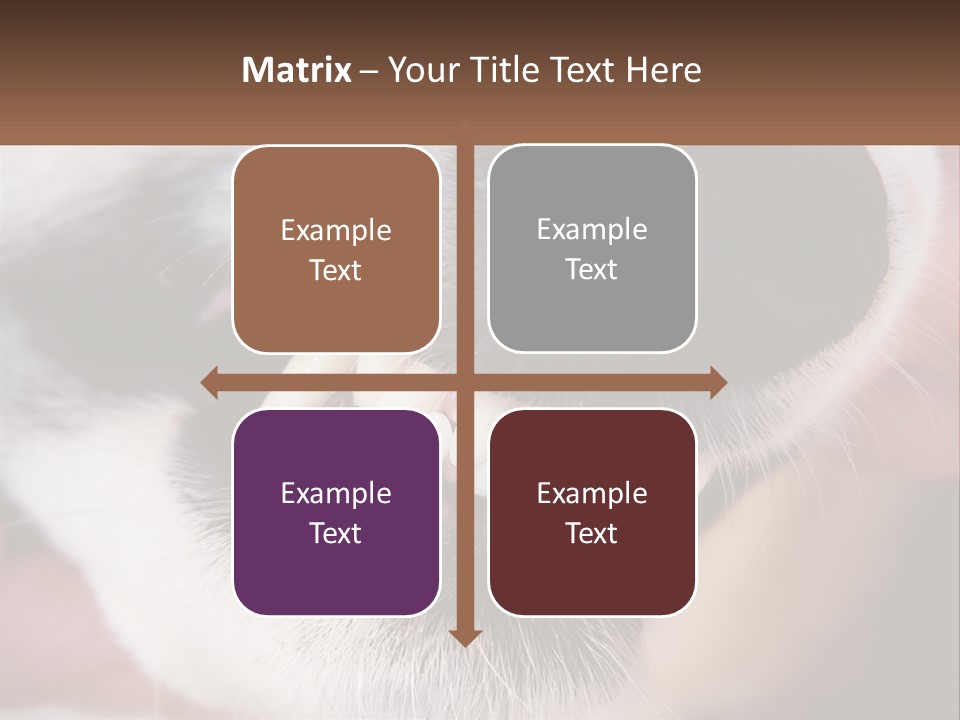 Lifestyle Portrait Pensioner PowerPoint Template