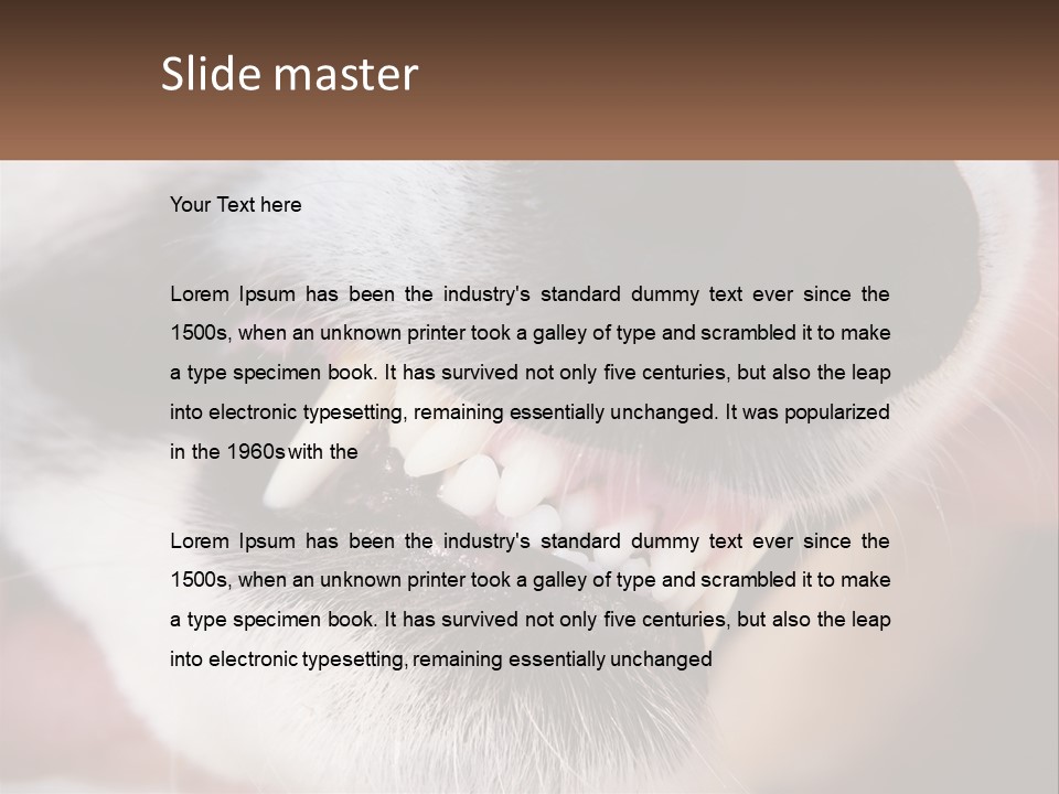 Lifestyle Portrait Pensioner PowerPoint Template