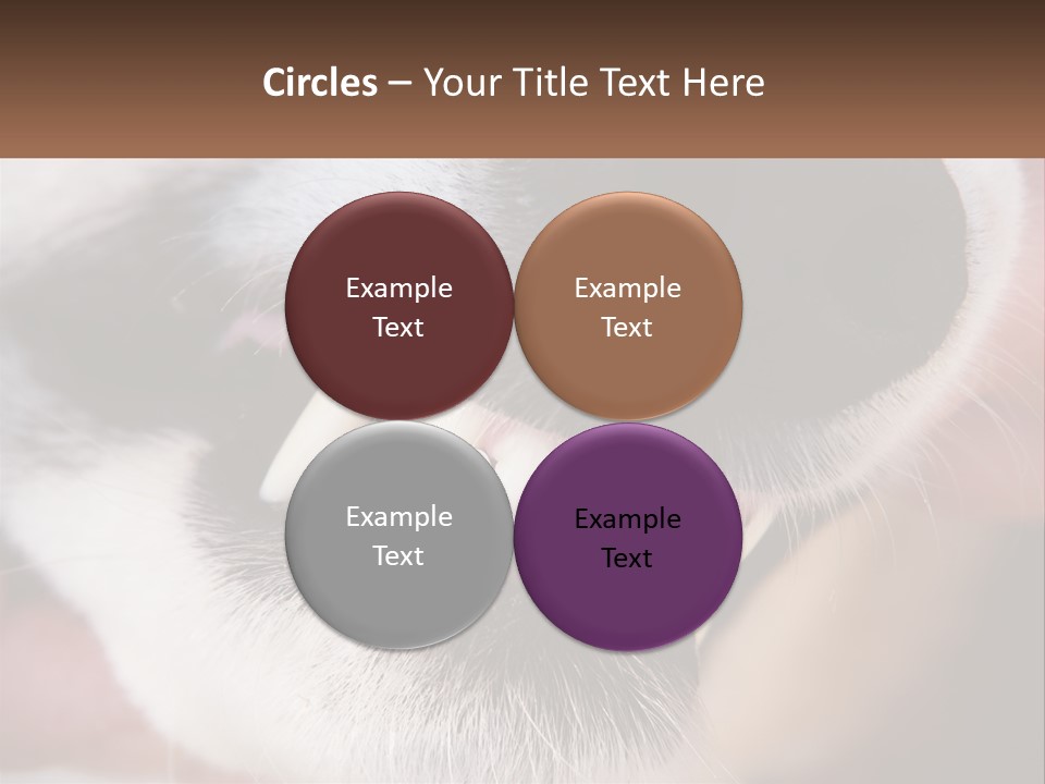 Lifestyle Portrait Pensioner PowerPoint Template