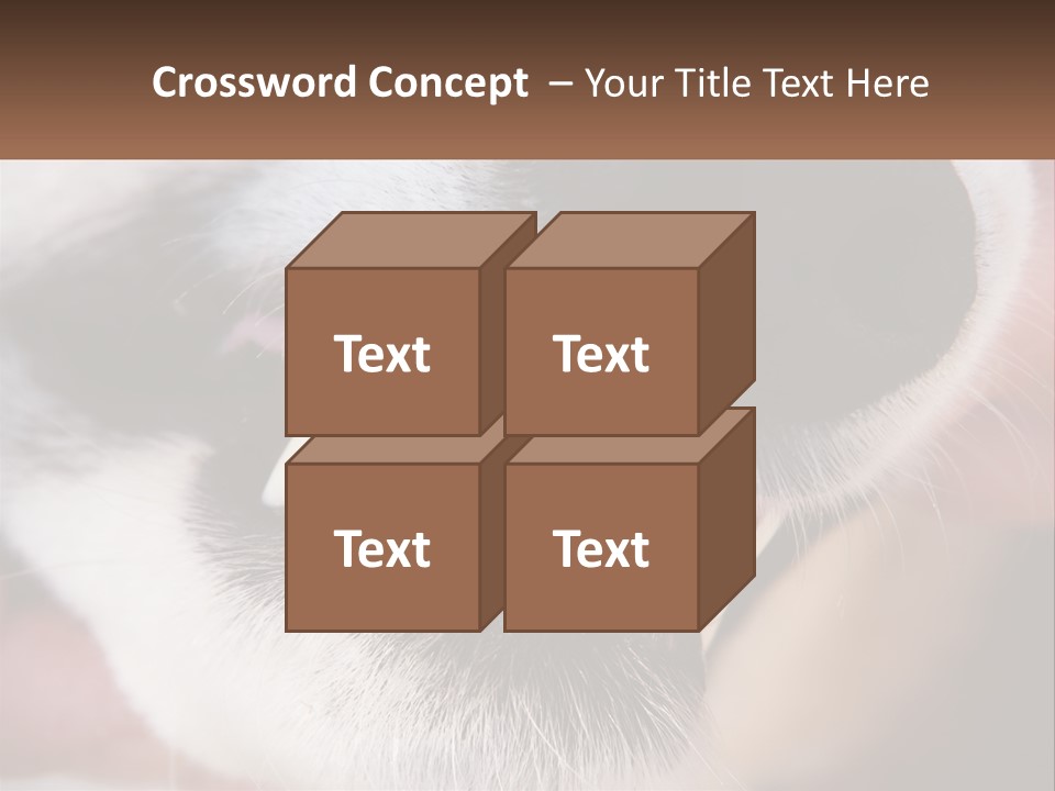 Lifestyle Portrait Pensioner PowerPoint Template