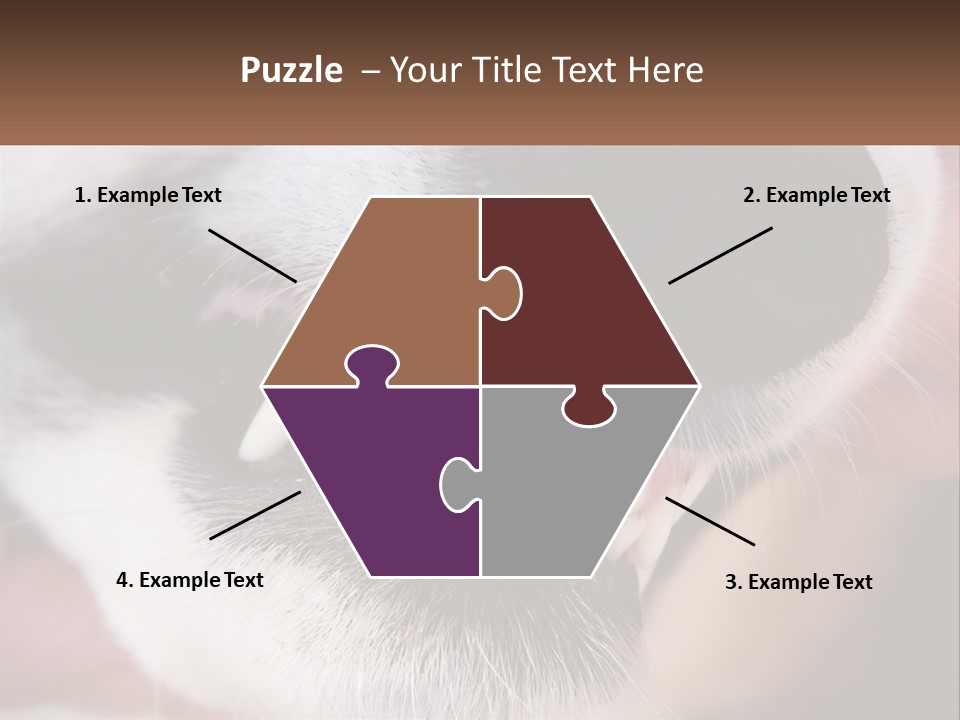 Lifestyle Portrait Pensioner PowerPoint Template