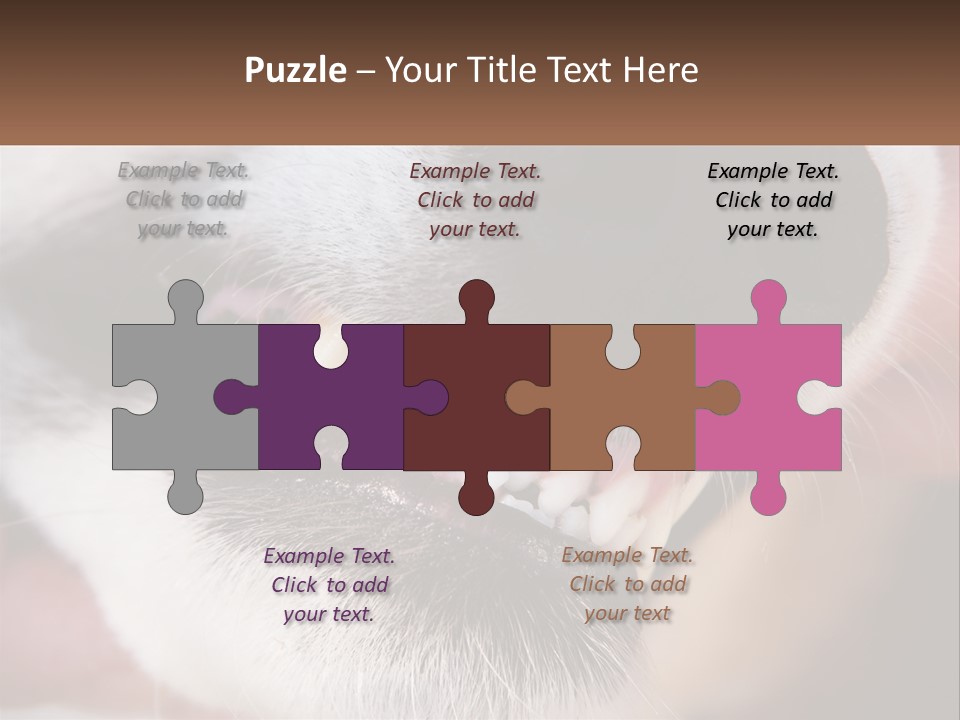 Lifestyle Portrait Pensioner PowerPoint Template