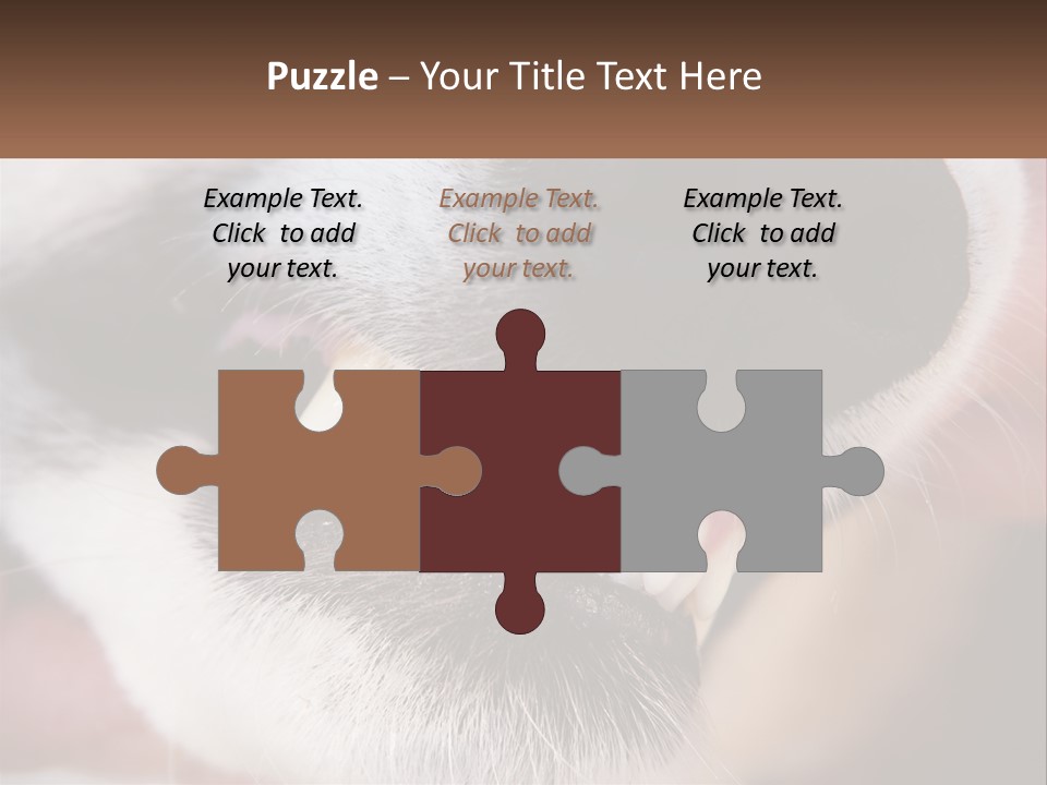 Lifestyle Portrait Pensioner PowerPoint Template