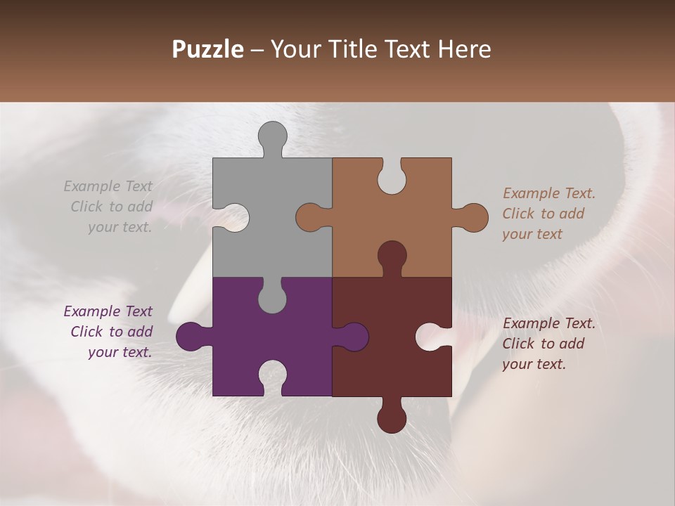 Lifestyle Portrait Pensioner PowerPoint Template