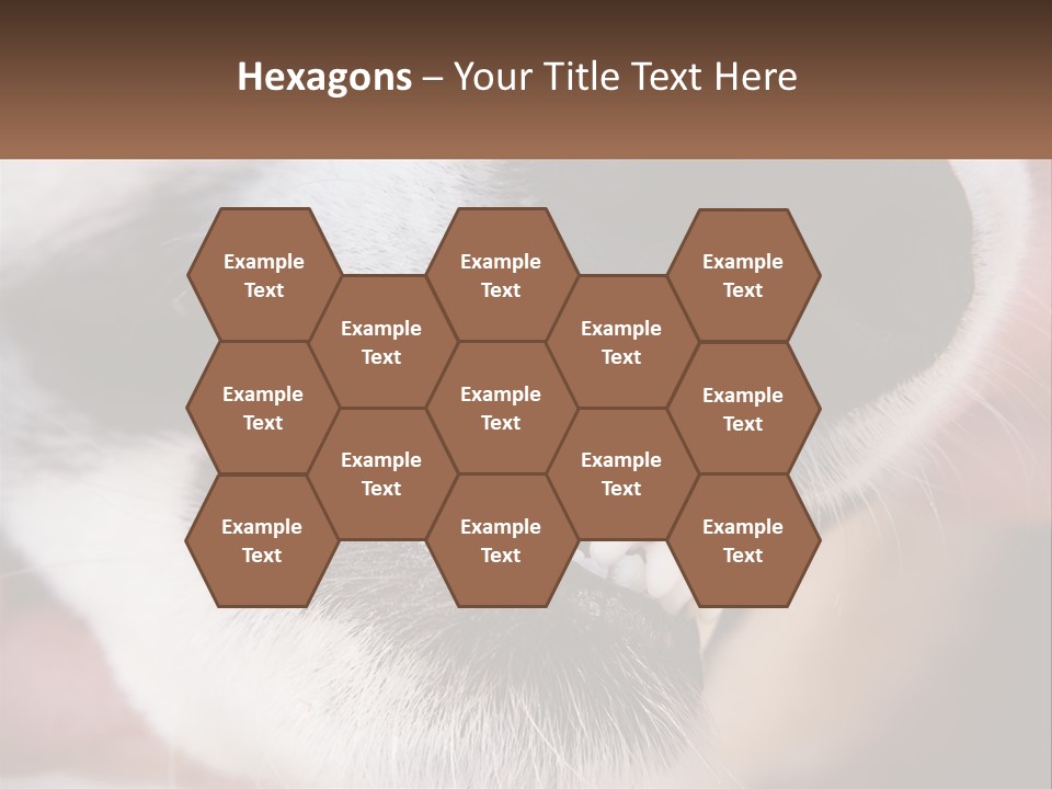 Lifestyle Portrait Pensioner PowerPoint Template