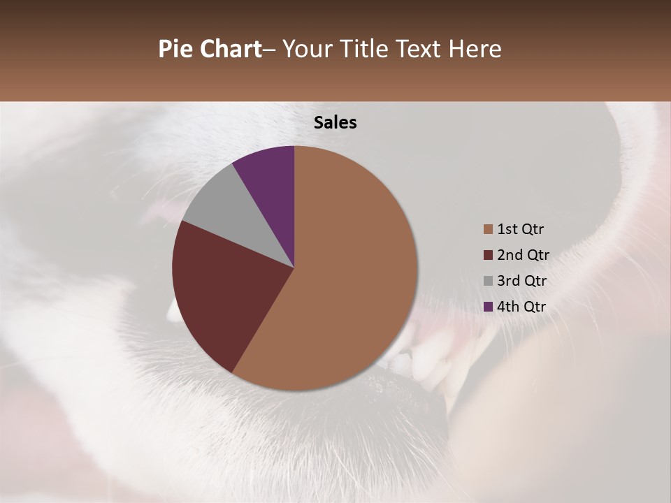 Lifestyle Portrait Pensioner PowerPoint Template
