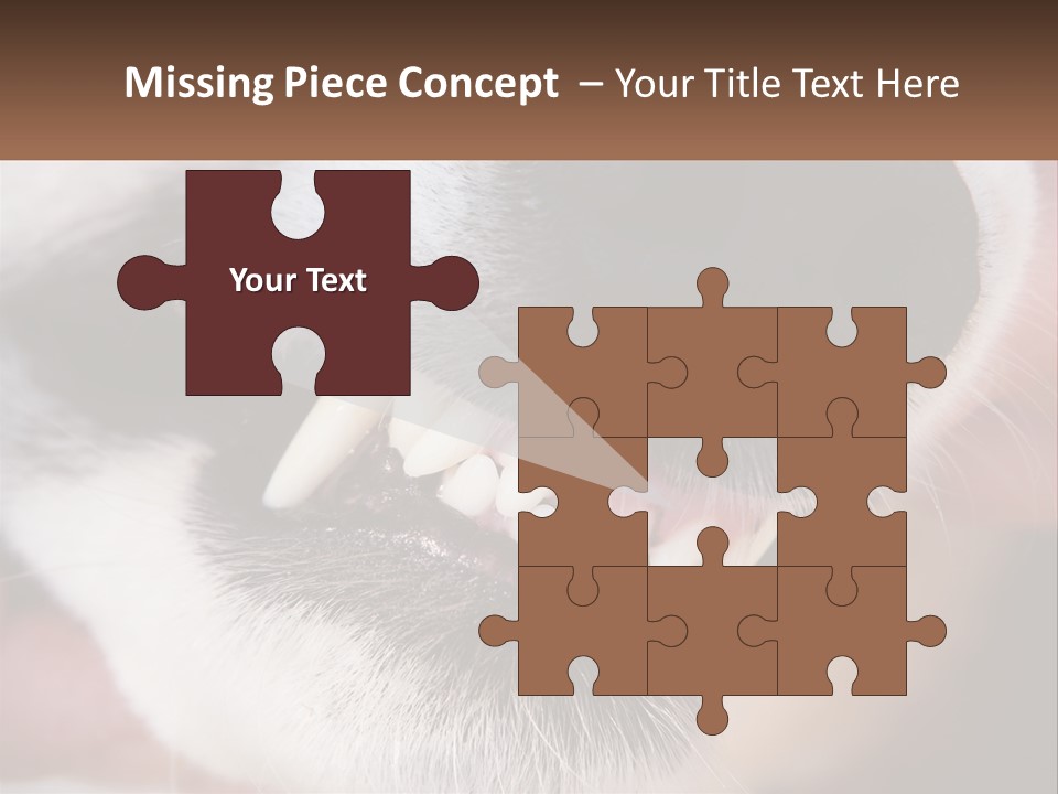 Lifestyle Portrait Pensioner PowerPoint Template