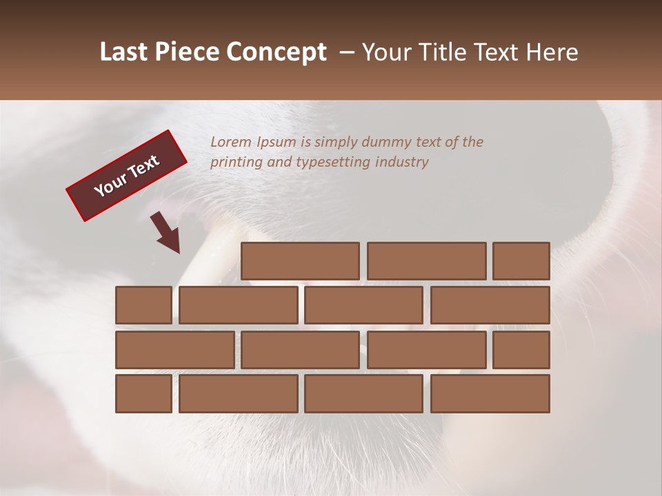 Lifestyle Portrait Pensioner PowerPoint Template