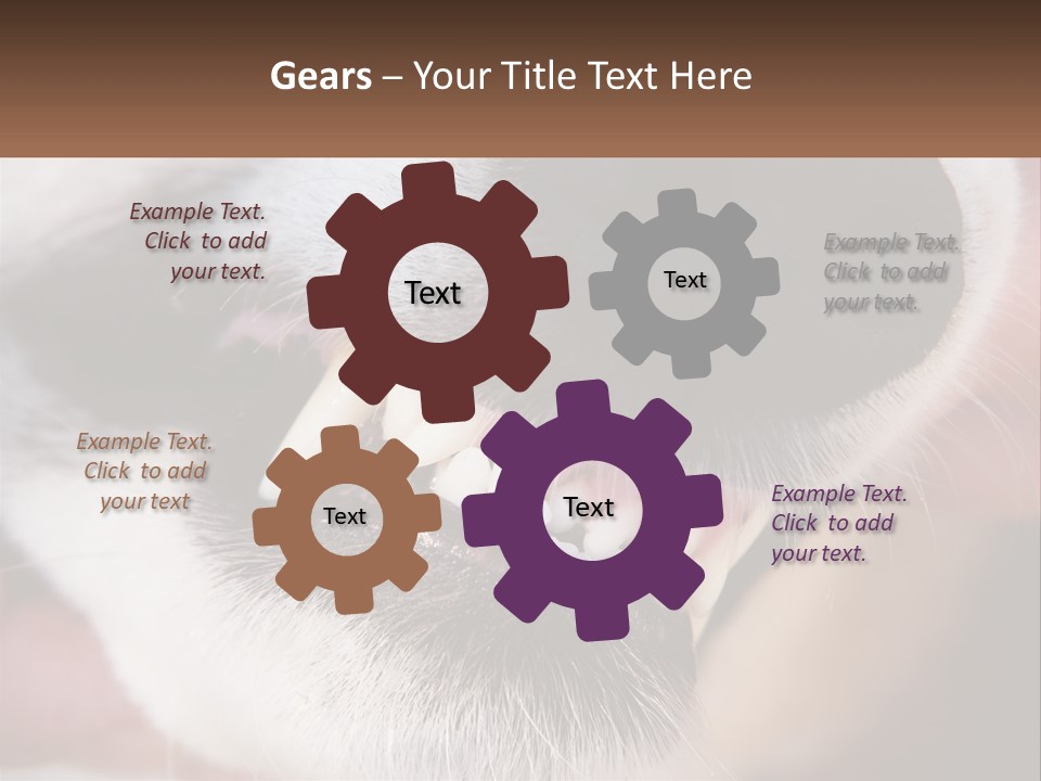 Lifestyle Portrait Pensioner PowerPoint Template