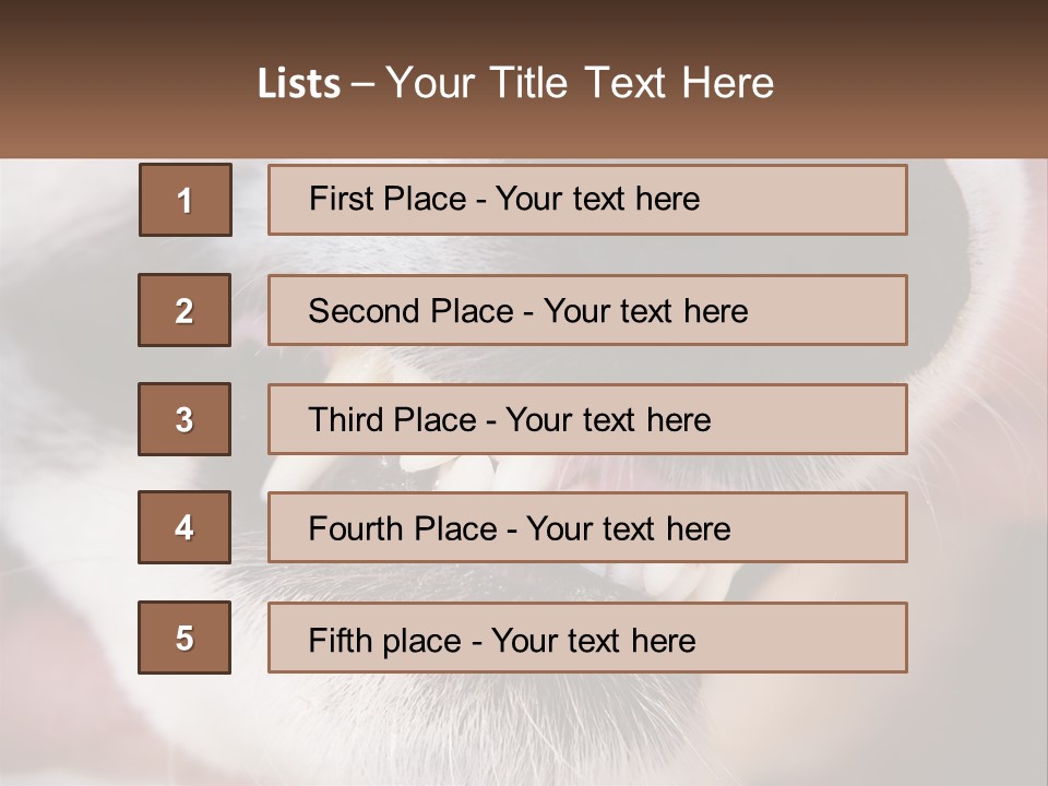 Lifestyle Portrait Pensioner PowerPoint Template