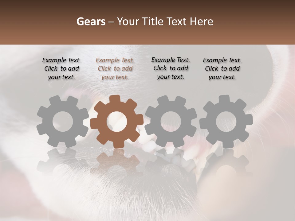 Lifestyle Portrait Pensioner PowerPoint Template