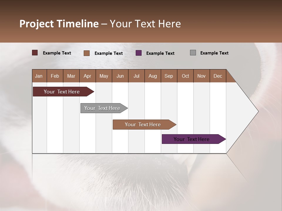Lifestyle Portrait Pensioner PowerPoint Template