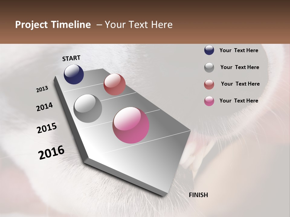 Lifestyle Portrait Pensioner PowerPoint Template