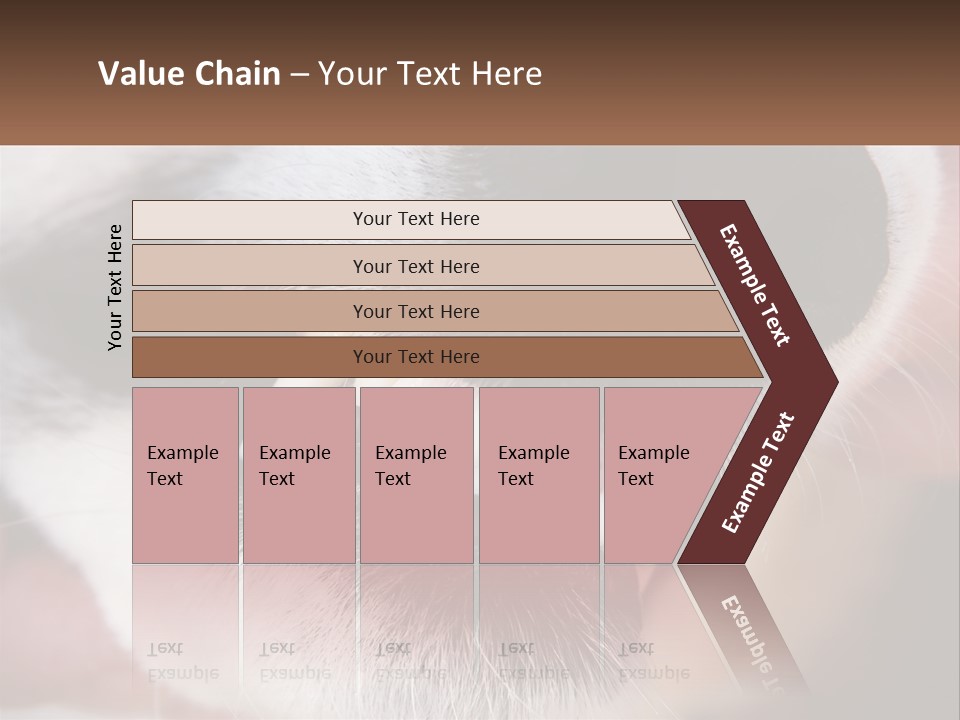 Lifestyle Portrait Pensioner PowerPoint Template