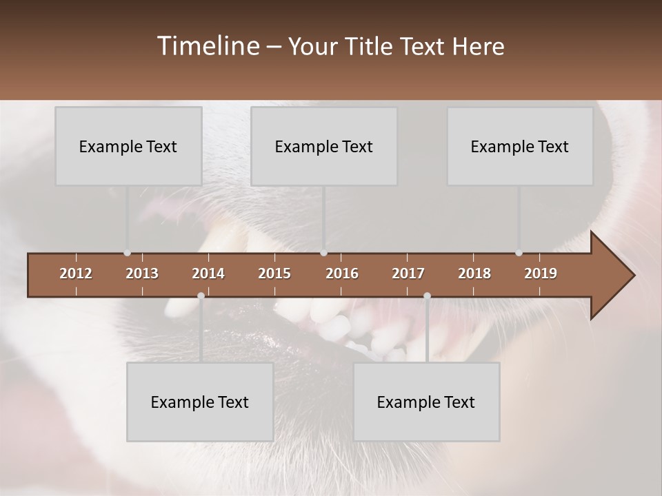Lifestyle Portrait Pensioner PowerPoint Template