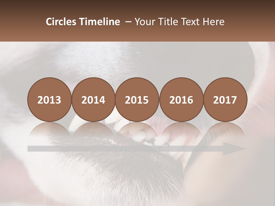 Lifestyle Portrait Pensioner PowerPoint Template