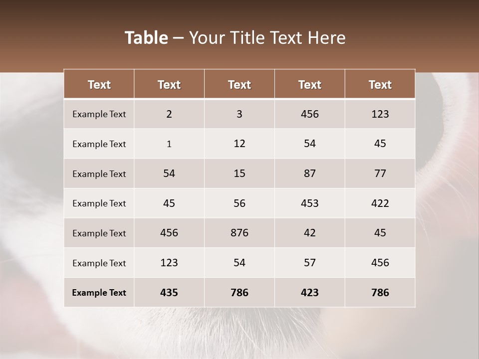 Lifestyle Portrait Pensioner PowerPoint Template