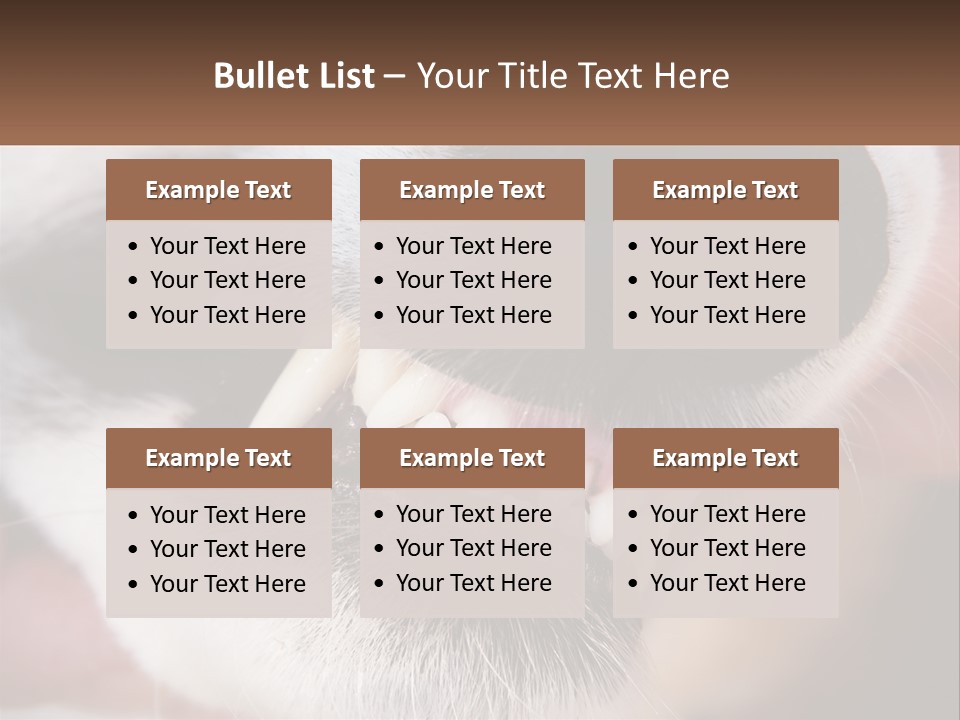 Lifestyle Portrait Pensioner PowerPoint Template